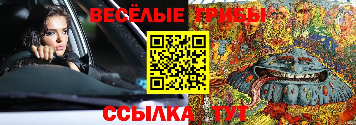 Галлюциногенные грибы прущие грибы Камень-на-Оби