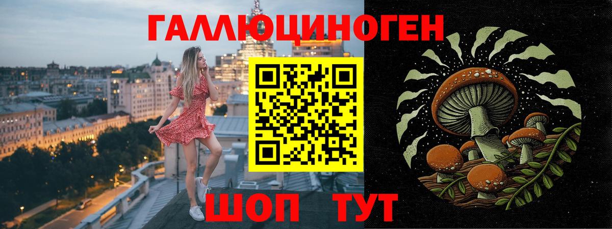 Камень-на-Оби  Псилоцибиновые грибы Magic Shrooms  купить наркотики цена  Вход с VPN 